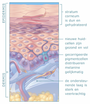 Overzicht NU-derm
